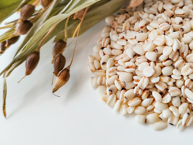 ハトムギの食べ方そのままでOK？