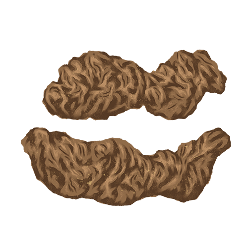 地黄（ジオウ）