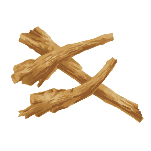 黄芩（オウゴン）